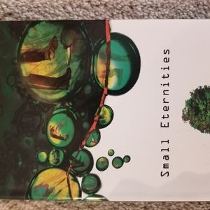 Small Eternities Novel Michael Lawrence